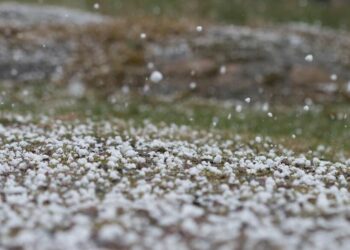 سليانة: حجر البَرد يتسبب في إتلاف المحاصيل الزراعية والأشجار المثمرة
