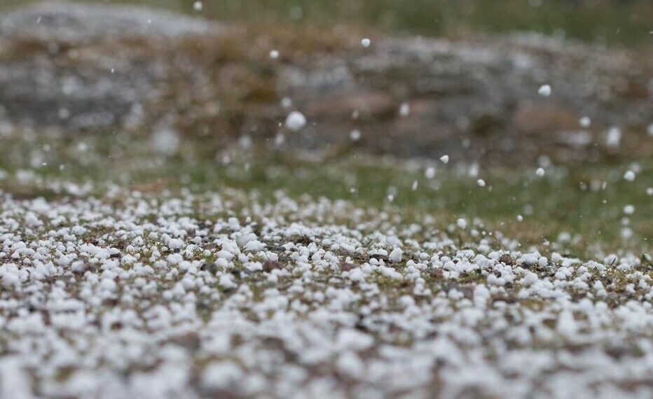 سليانة: حجر البَرد يتسبب في إتلاف المحاصيل الزراعية والأشجار المثمرة