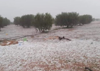 الأحوال الجوية: كميات الأمطار خلال ال24 ساعة الماضية