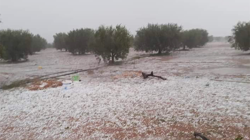 الأحوال الجوية: كميات الأمطار خلال ال24 ساعة الماضية