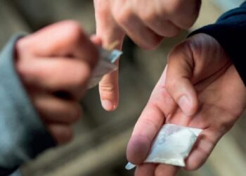 جهات-منوبة: الإطاحة بمروجي مخدرات وحجز كميّة من الكوكايين والزطلة