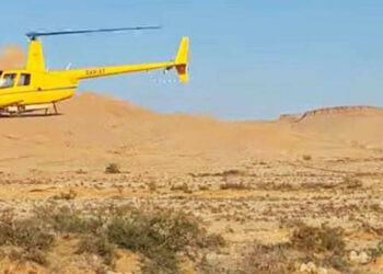 مدنين-بن قردان: مداواة 300 هك جوّا ضد الجراد الصحراوي