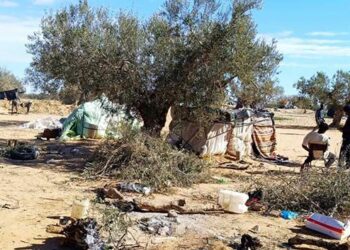 صفاقس-هنشير القرقني: انطلاق إزالة مخيّمات المهاجرين غير النظاميين