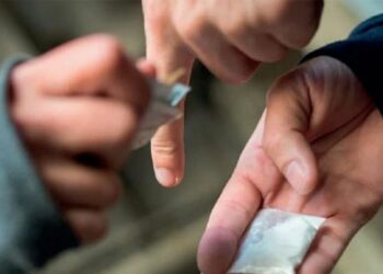 مكافحة المخدرات: تفكيك شبكة لترويج الكوكايين بسوسة والقبض على شخص في بنزرت زرع نبات الخشخاش