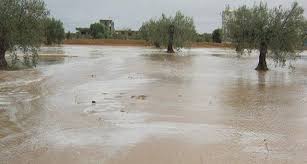 كميات الأمطار: قبلاط(ولاية باجة) تسجّل أعلى نسبة هطول ب79 مم