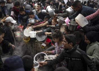 دوناد ترامب يؤكد أن الولايات المتحدة تسعى لمعالجة الوضع في غزة