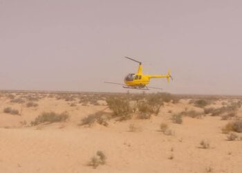 رمادة-تطاوين: رشّ 300 هكتار لمقاومة الجراد الصحراوي