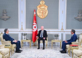 استقبل بودربالة والدربالي: قيس سعيّد يشدد على الدور المحوري  للوظيفة التشريعية بمجلسيها