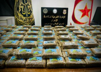 بن عروس: تفكيك شبكتين دوّليّتين وحجز كميات ضخمة من الزطلة والاكستازي