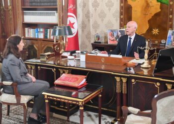 قيس سعيّد لدى استقباله رئيسة الحكومة: الثورة التشريعية لا تتحقق إلا بثورة في مستوى إدارة المرافق العمومية