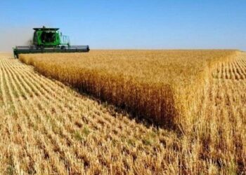 لتأمين الثروة الغابية والفلاحية من الحرائق…برنامج مشترك بين وزارتي الداخلية والفلاحة