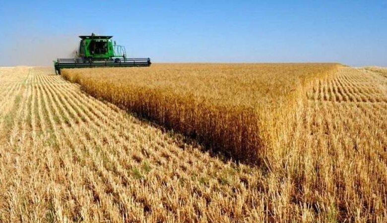 لتأمين الثروة الغابية والفلاحية من الحرائق…برنامج مشترك بين وزارتي الداخلية والفلاحة