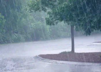 الطقس: كميات الأمطار خلال ال24 ساعة الماضية