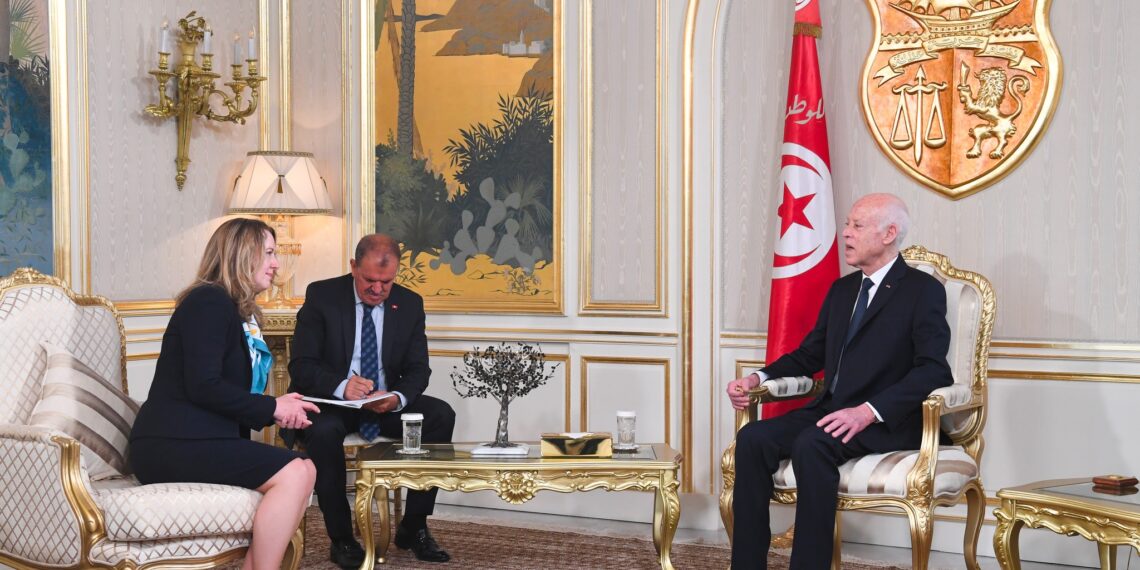 رئيس الجمهورية: موقف تونس ثابت في رفضها أن تكون أرضها معبرا أو مقرا للمهاجرين غير النظاميين