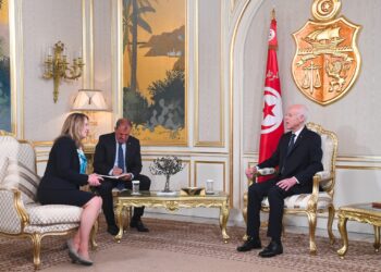 رئيس الجمهورية: موقف تونس ثابت في رفضها أن تكون أرضها معبرا أو مقرا للمهاجرين غير النظاميين