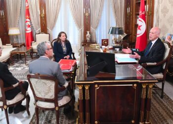 قيس سعيّد: المرور إلى السّرعة القصوى لإيجاد الحلول للمنشآت التي تمّ إهمالها