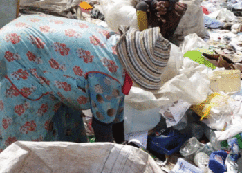 دراسة حول” البرباشة” توصي بوضع إطار قانوني لتنظيم مهنة جمع القمامة