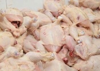 سوسة: هيئة السلامة الصحيّة تحجز 915 كلغ من الدجاج غير الصالح للإستهلاك
