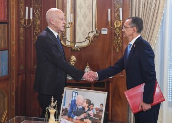 رئيس الدولة يسدي تعليماته بالقيام بمسح شامل للأراضي الفلاحية لدى استقباله وزير الفلاحة