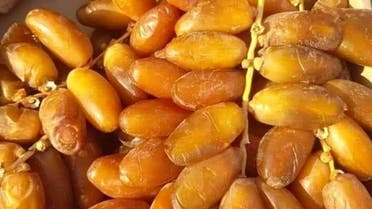 اقتصاد: عائدات صادرات التمور تتراجع بنسبة 4،3 بالمائة