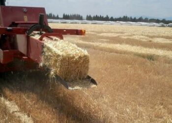 الوسلاتية: وفاة شاب جذبته آلة ربط التبن وسببت له جراحا بليغة