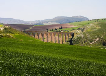 طقس اليوم: ربيعي…وحرارة في ارتفاع تصل 38 درجة