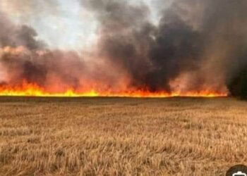 منوبة:فرق الحماية المدنية تنجح في إخماد حريقين بمزرعتين