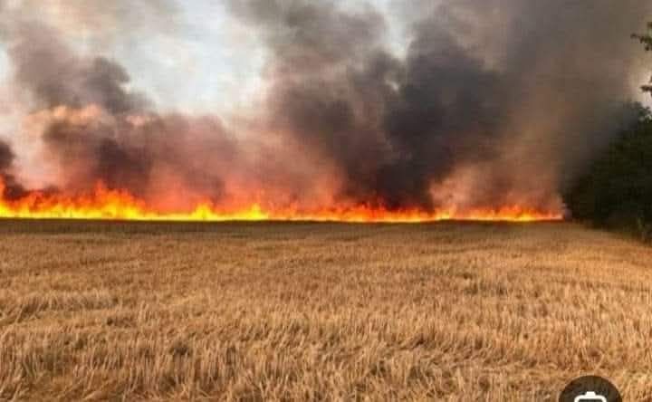 منوبة:فرق الحماية المدنية تنجح في إخماد حريقين بمزرعتين