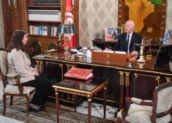 قيس سعيّد: اللوبيات التي تحاول تأجيج الاوضاع لا يمكن ان تبقى خارج دائرة