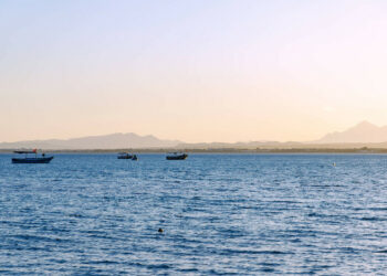 قليبية: العثور على جثة الطفلة مريم قبالة شاطئ بني خيار