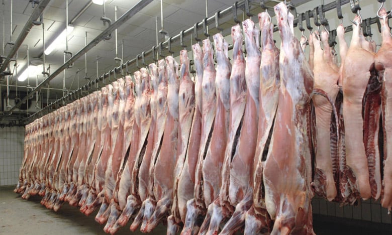 عيد الاضحى: توريد كميات من اللحوم الحمراء بين لحم الضأن ولحم الابقار