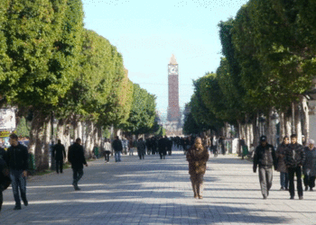 تونس العاصمة: تظاهرة “شارع بورقيبة دون سيارات”…تتخذ بعدا عالميا