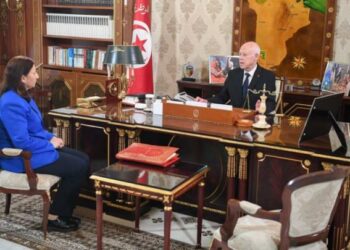 رئيس الجمهورية: تونس في حاجة إلى تشريعات جديدة في كافة القطاعات ،ولكن في حاجة أيضا إلى مسؤولين يشعرون بالمسؤولية