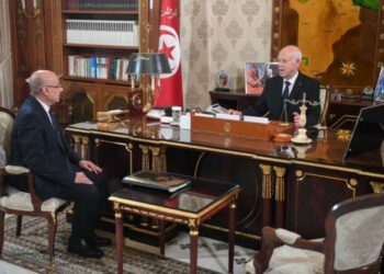 دعم القوات المسلحة العسكرية ومعاضدتها لمجهودات الدولة ابرز محاور لقاء رئيس الجمهورية بوزير الدفاع