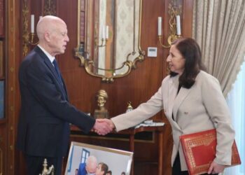 رئيس الجمهورية: لا مجال للتفريط في مؤسّساتنا ومنشآتنا العمومية، وسيتمّ تحميل المسؤولية القانونية كاملة لمن خرّبها