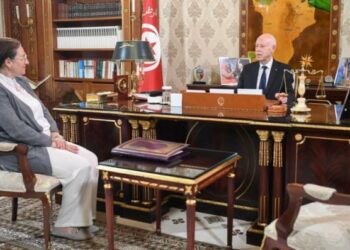 مراجعة عدد من التشريعات المتعلقة بالجباية ،والاستعداد الجيّد لعودة المواطنين التونسيين بالخارج ابرز محاور لقاء رئيس الجمهورية بوزيرة المالية