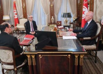 مشروع الأمر المتعلق بمنع المناولة في القطاع العام ،وحلّ شركة الاتصالية للخدمات ابرز محاور لقاء رئيس الجمهورية بوزيري الشؤون الاجتماعية وتكنولوجيات الاتصال