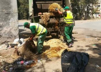 عيد الإضحى: 500 ألف جلد من أضاحي يلقى بها في الطبيعة