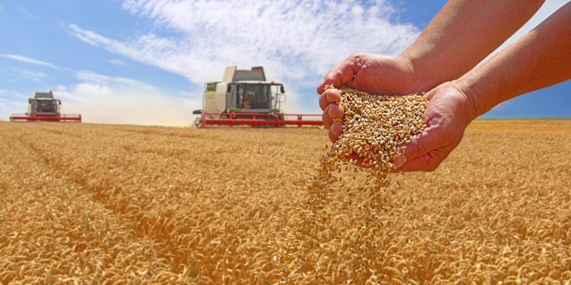 جهات: كميات الحبوب المجمّعة بلغت 6.736 مليون قنطار إلى غاية 25 جوان