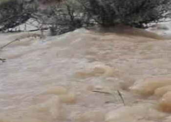 تمغزة-توزر: فيضان وادي الجراد بالفريد يتسبب في قطع الطريق