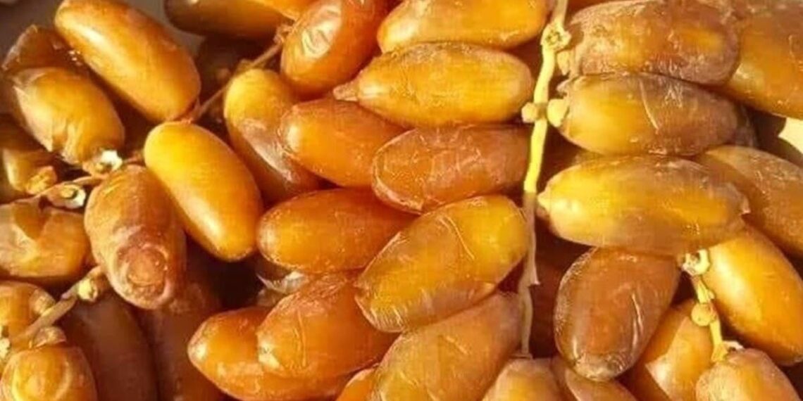 اقتصاد: تراجع عائدات صادرات التمور بما يساوي 771.7 مليون.د