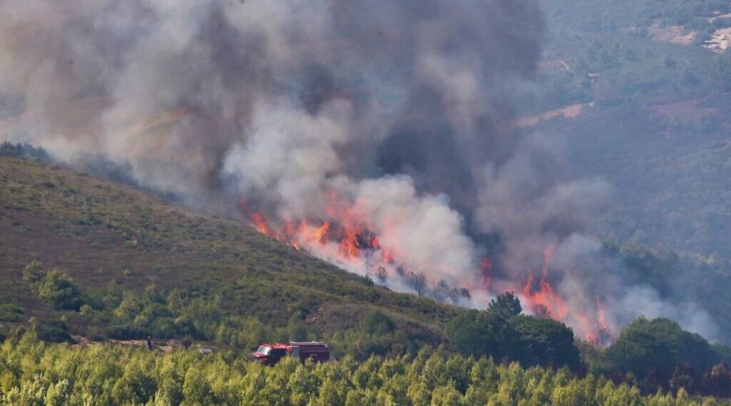 الفحص-زغوان: السيطرة على حريق المنطقة العافية بنسبة 95℅