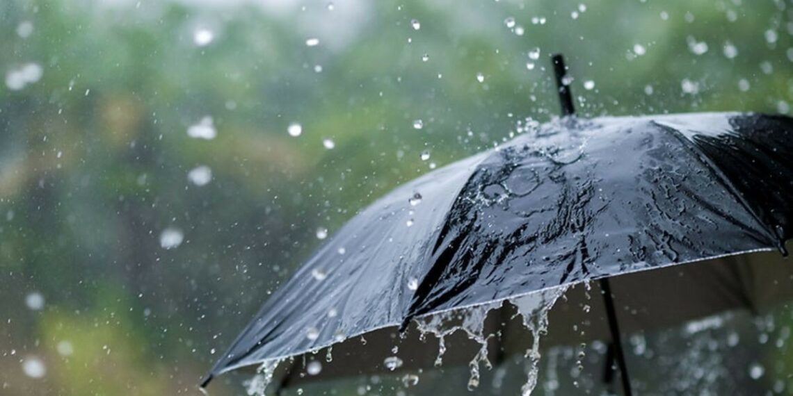 امكانية نزول أمطار آخر الاسبوع…ديوان الحبوب يدعو الى أخذ الاحتياطات لحماية الكميات المجمّعة