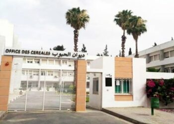 شؤون نقابية: تأجيل إضراب أعوان ديوان الحبوب في انتظار نتائج الجلسات الصلحيّة