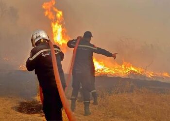 الحماية المدنية : انجاز 576 تدخّلا خلال ال 24 ساعة الماضي