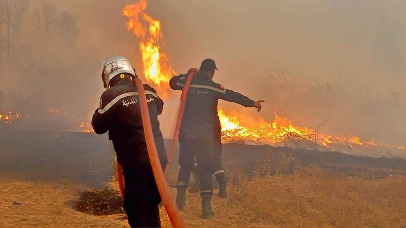 الحماية المدنية : انجاز 576 تدخّلا خلال ال 24 ساعة الماضي