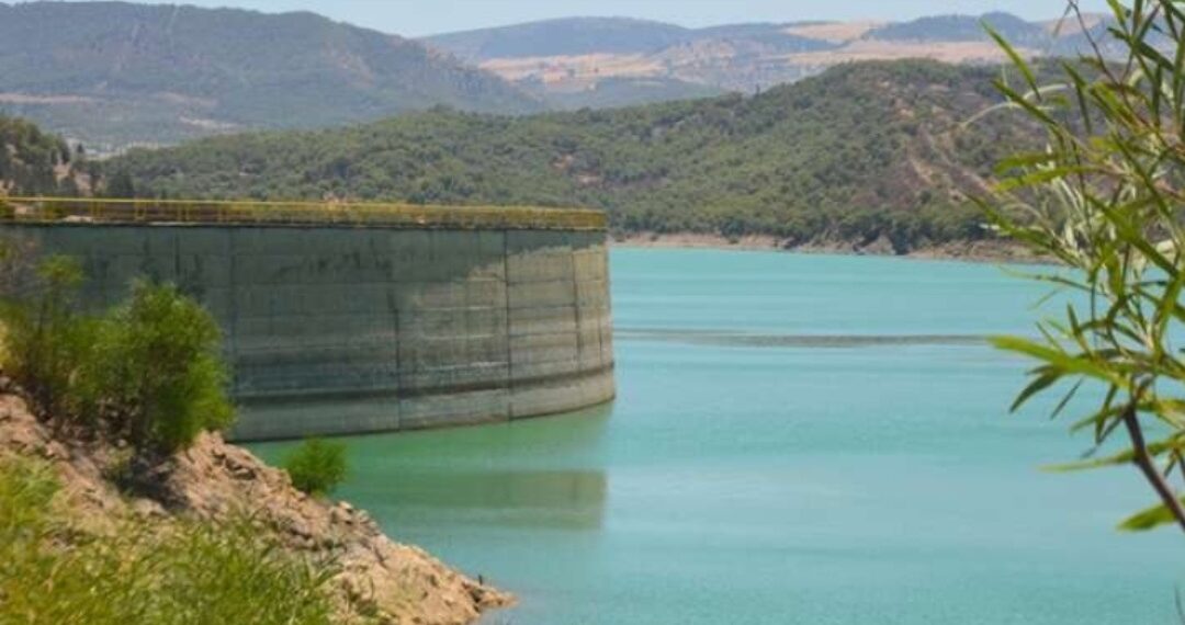 مخزون المياه: نسبة امتلاء السدود بلغت 35.6 ℅ إلى حدّ 18 جويلية 2025