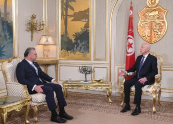 قيس سعيّد يستقبل كبير مستشاري الرئيس الامريكي للشؤون العربيّة والشرق الأوسط وإفريقيا