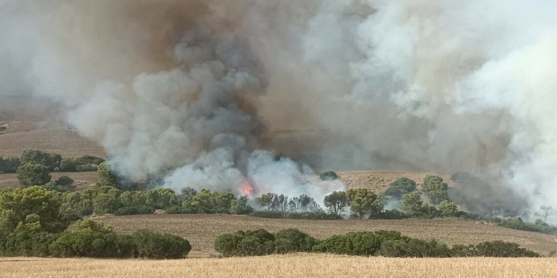 سليانة: الأمطار تساعد فرق الحماية على إخماد حريقي جبل دحر وجبل أولاد بوهاني