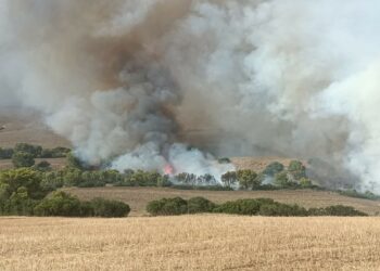 سليانة: الأمطار تساعد فرق الحماية على إخماد حريقي جبل دحر وجبل أولاد بوهاني